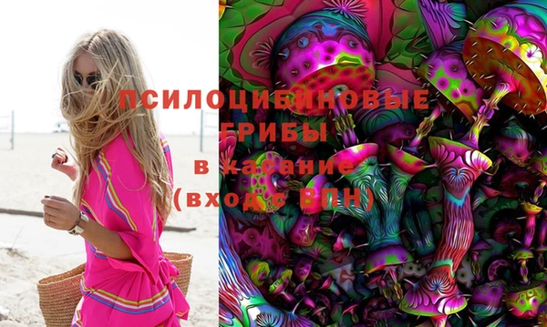 шишки Михайлов