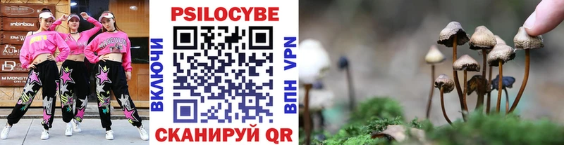 МЕГА ссылки  купить наркоту  Сясьстрой  Галлюциногенные грибы мицелий 