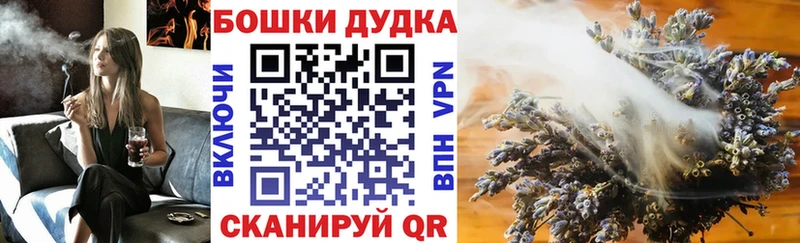 Каннабис конопля  ссылка на мегу сайт  Сясьстрой 